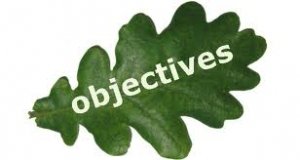 Objectives